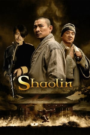 Shaolin (2011) Hindi Dual Audio 720p BluRay [1.3GB]